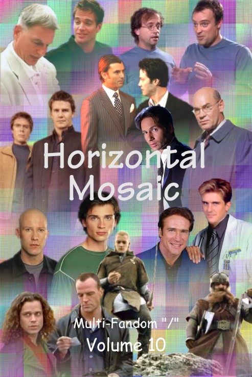 Horizontal Mosaic Vol. 10 Cover