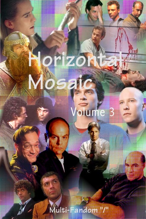 Horizontal Mosaic Vol. 3 Cover