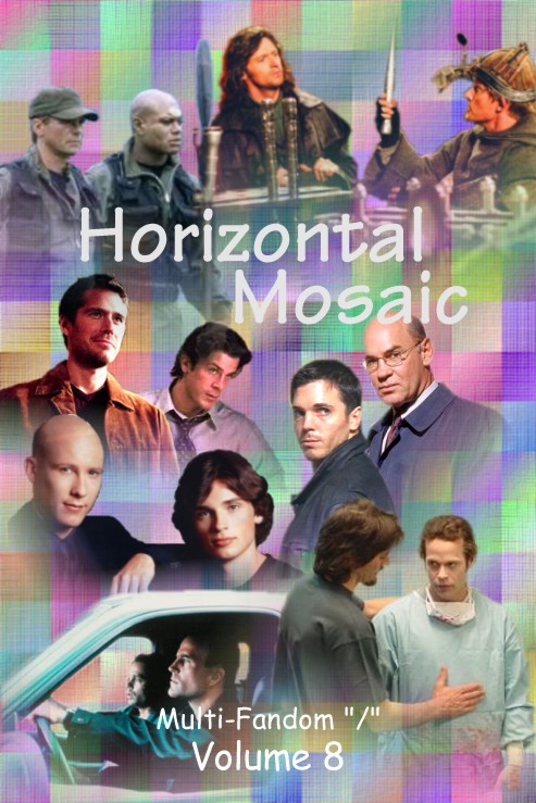 Horizontal Mosaic Vol. 8 Cover
