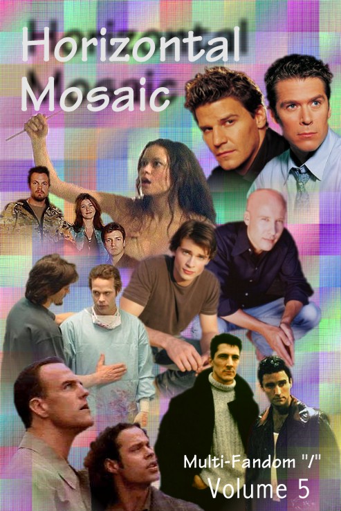 Horizontal Mosaic Vol. 5 Cover