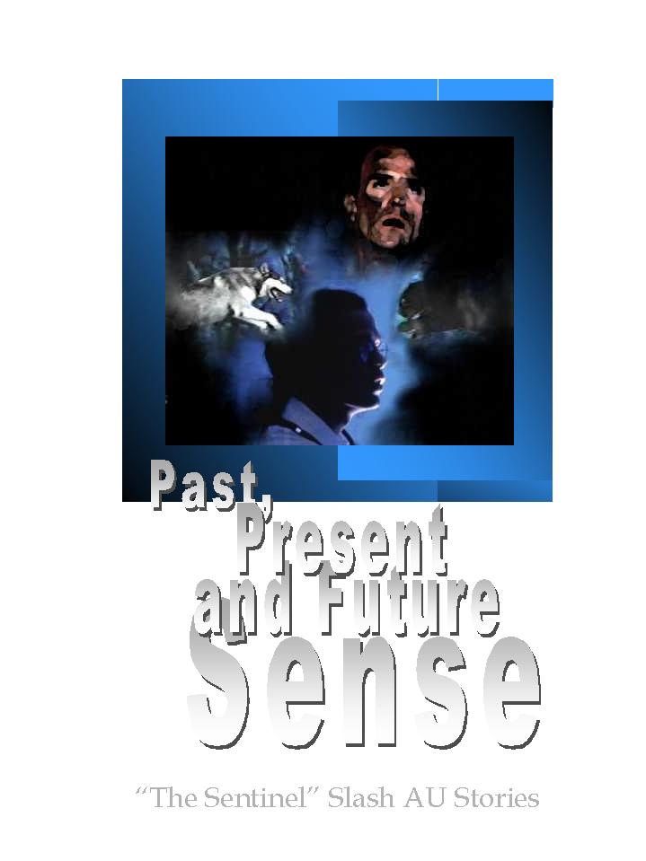 Past, Present and Future Sense Cover